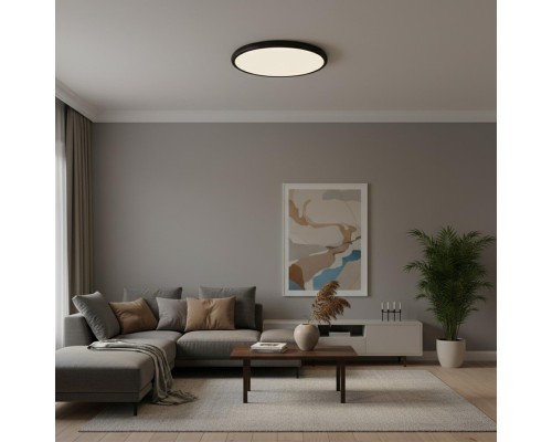 10454/500 Black  Потолочный светильник  LOFT IT Sweety