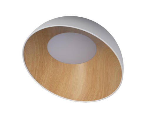 10197/500 White Потолочные светильники LOFT IT Egg