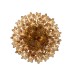 10580C/500 Champagne Потолочная люстра LOFT IT Murano