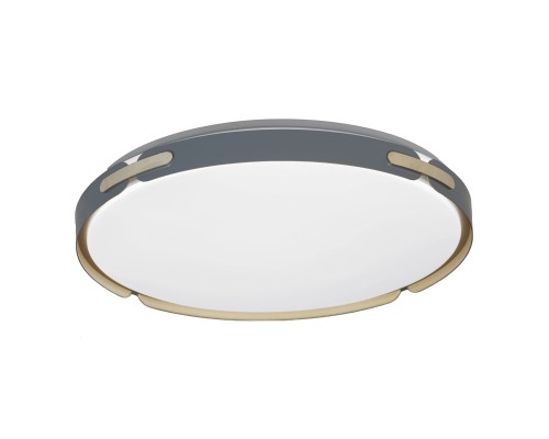 Потолочный светильник Lumina Deco Paneli LDC 8063-48W BL