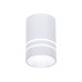 Потолочный светодиодный светильник Ambrella light Techno Spot TN236