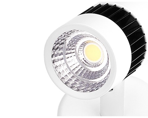 Встраиваемый спот Ambrella light Techno Led TN101/10W WH/BK