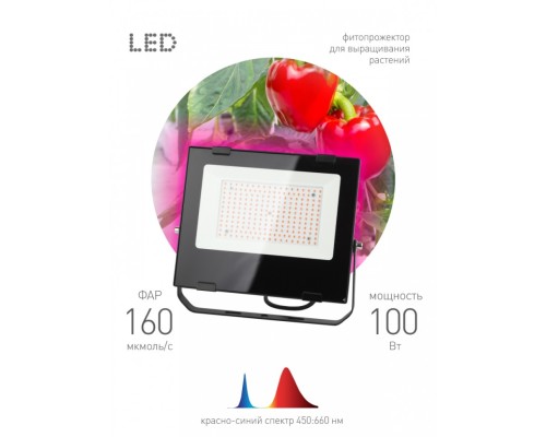 Прожектор светодиодный ЭРА PRO 100W 1200K Fito-100W-RB-Led Б0046369