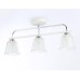 Потолочный светильник Ambrella light Traditional Modern TR303233