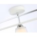 Потолочный светильник Ambrella light Traditional Modern TR303233