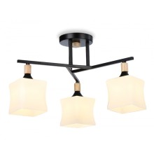 Потолочный светильник Traditional Ambrella light TR9493