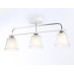 Потолочный светильник Ambrella light Traditional Modern TR303233