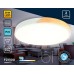 Потолочный светильник Ambrella light Orbital Design FZ1300