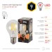 F-LED A60-9W-827-E27 ЭРА (филамент, груша, 9Вт, тепл, Е27) (10/100/1500)