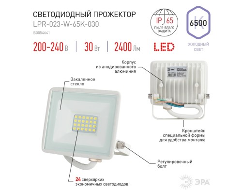 Прожектор светодиодный уличный Эра LPR-023-W-65K-030 (Б0054641)