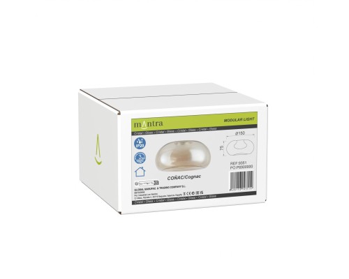 9351 Плафон ANDROMEDA MANTRA