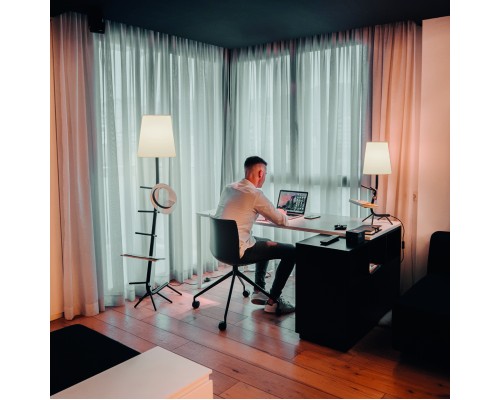 7251 Настольная лампа CENTIPEDE MANTRA