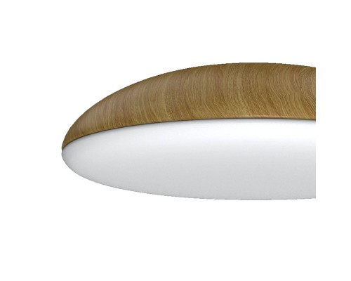 8136 Потолочный светильник KAZZ MANTRA