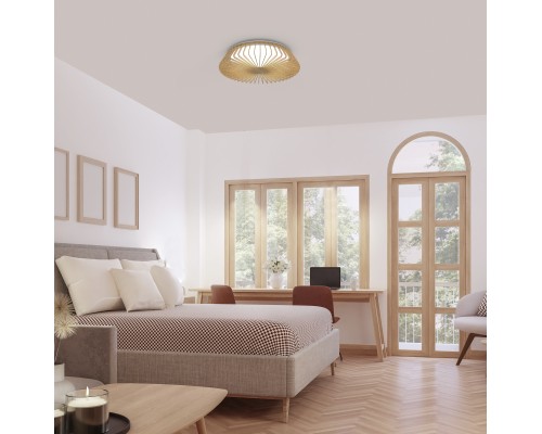 7967 Потолочный светильник HIMALAYA MANTRA