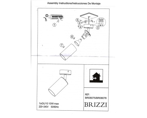 BR08075 Потолочный светильник-спот ARAS BRIZZI