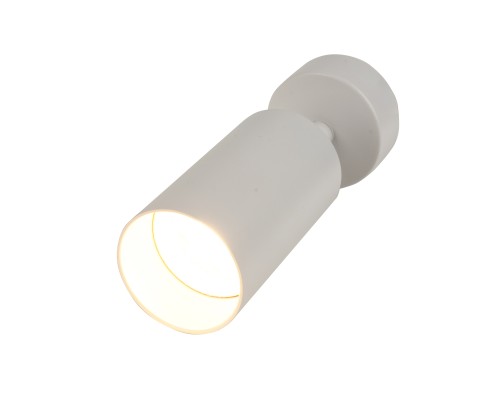 BR08075 Потолочный светильник-спот ARAS BRIZZI