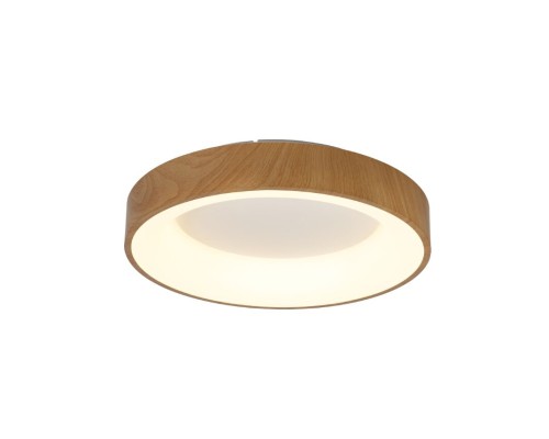 8588 Потолочный светильник NISEKO II MANTRA