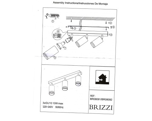 BR08092 Потолочный светильник-спот ARAS BRIZZI