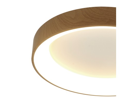 8588 Потолочный светильник NISEKO II MANTRA