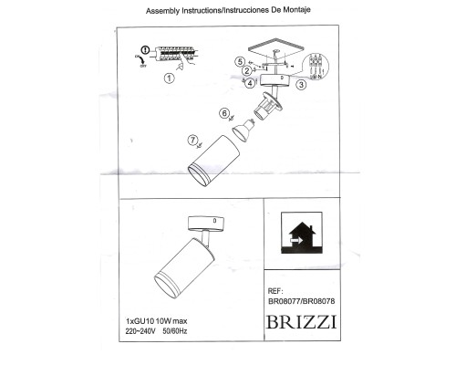 BR08078 Потолочный светильник-спот ARAS BRIZZI