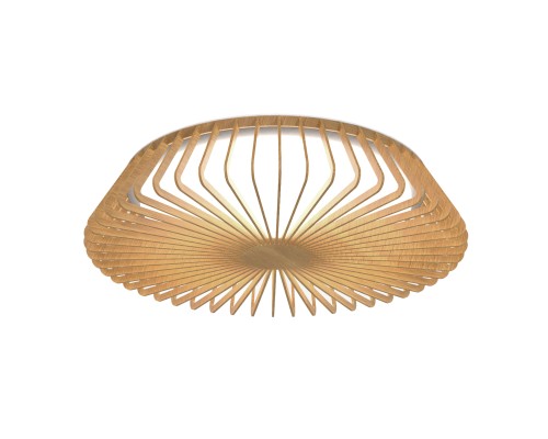 7967 Потолочный светильник HIMALAYA MANTRA