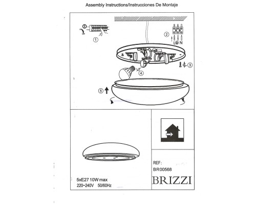 BR00568 Потолочный светильник RONDA BRIZZI
