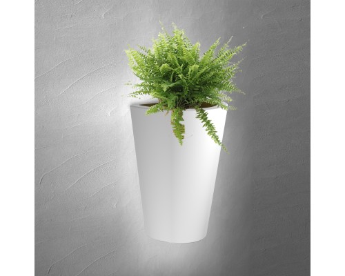 6508 Настенный уличный светильник TEJA MANTRA