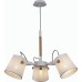 Подвесная люстра Mantra 5461 Nordica 2