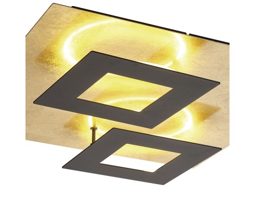 Потолочный светильник DALIA 8162