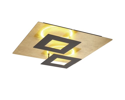 Потолочный светильник DALIA 8162