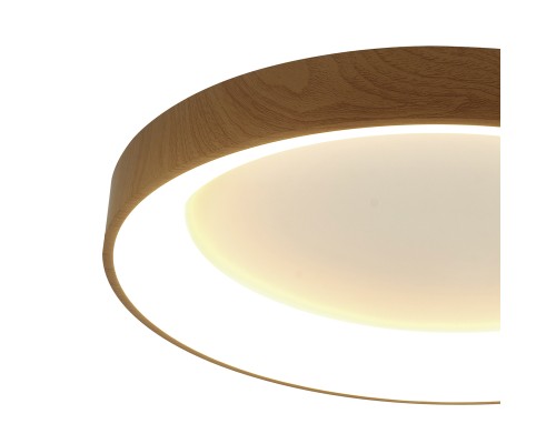 Потолочный светильник NISEKO II 8587