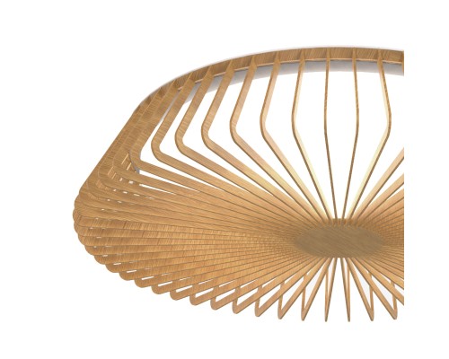 Потолочный светильник HIMALAYA 7964