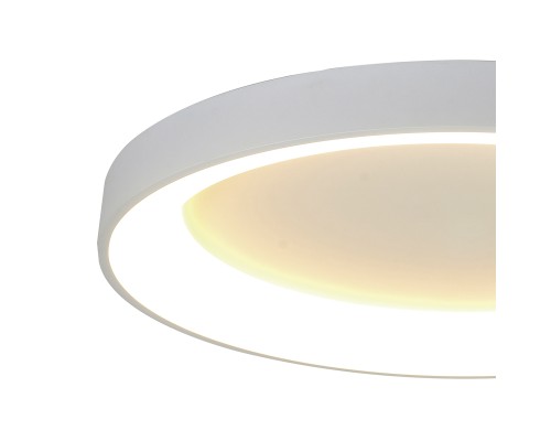 Потолочный светильник NISEKO II 8638