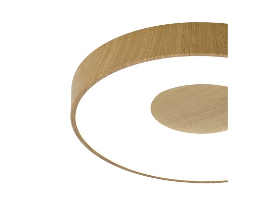 Потолочный светильник COIN 7565