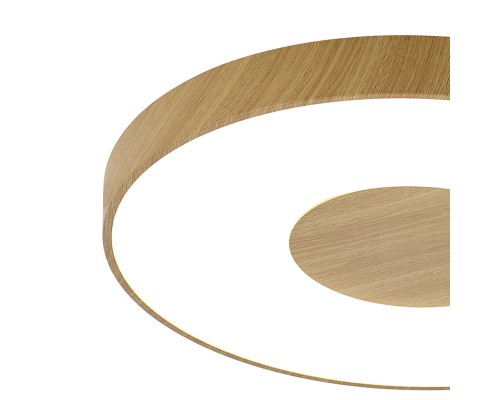 Потолочный светильник COIN 7562