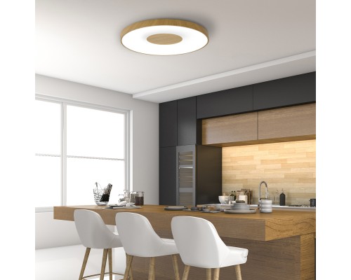 Потолочный светильник COIN 7562