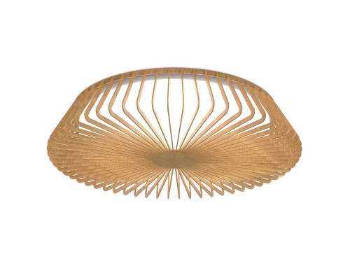 Потолочный светильник HIMALAYA 7964