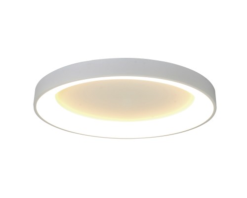 Потолочный светильник NISEKO II 8638