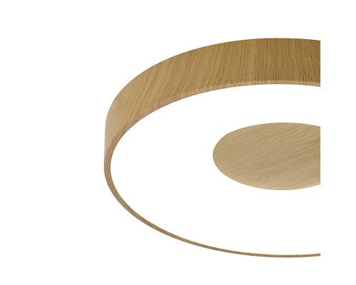 Потолочный светильник COIN 7568