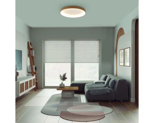 Потолочный светильник NISEKO II 8587