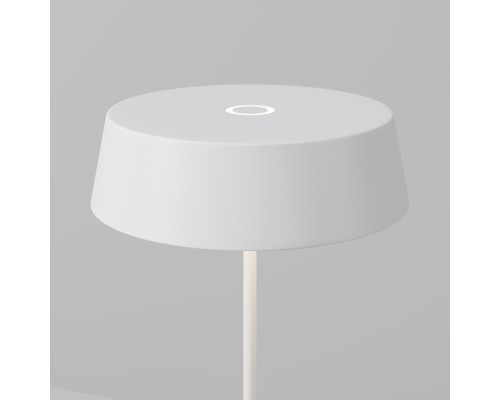 Уличный переносной аккумуляторный светильник Outdoor O540TL-L2WCCT