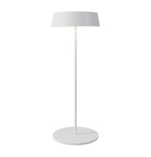 Уличный переносной аккумуляторный светильник Outdoor O540TL-L2WCCT