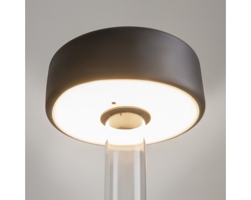 Аккумуляторный светильник Maytoni MOD229TL-L3B3K1