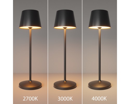 Аккумуляторный светильник Maytoni MOD494RL-L1BK