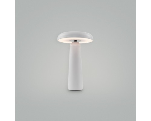 Аккумуляторный светильник Freya FR6109TL-L4W