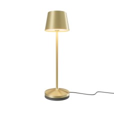 Аккумуляторный светильник Maytoni MOD494RL-L1BSK