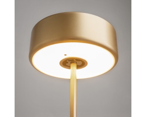 Аккумуляторный светильник Maytoni MOD229TL-L3G3K2