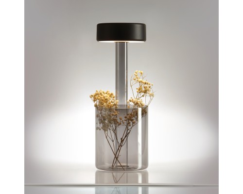 Аккумуляторный светильник Maytoni MOD229TL-L3B3K3