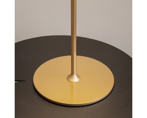 Аккумуляторный светильник Maytoni MOD229TL-L3G3K2