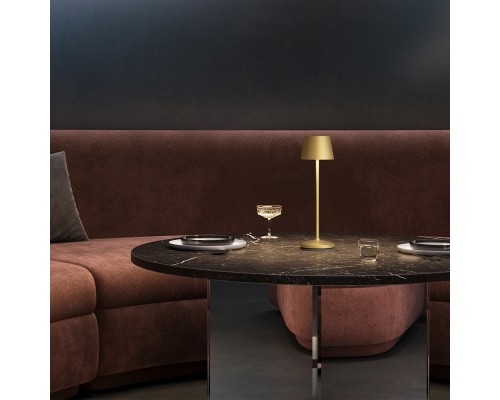 Аккумуляторный светильник Maytoni MOD494RL-L1BSK